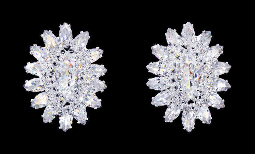 #17069 - Jewel Burst CZ Earrings-0