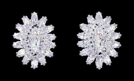 #17069 - Jewel Burst CZ Earrings-0